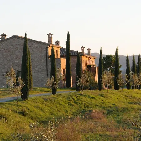Podere Salicotto * Buonconvento