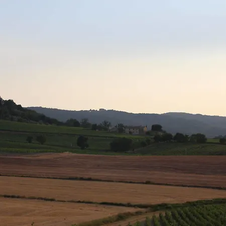 Podere Salicotto * Buonconvento
